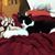 Lisa Volkening's profile image