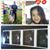Cristal Gomez Sandoval's profile image