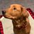 Clint Sullins's profile image