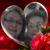 Deborah Hillabush's profile image