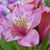 Ann Smith's profile image