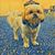 Joey Bee's profile image
