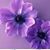 Pam Boquist's profile image