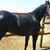 Polo Marin's profile image