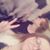Lynn Kayla's profile image