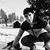 Edoardo De Armas's profile image
