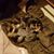 Roxanna Baker Thedford's profile image
