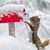 Lisa Birchfield Mills's profile image