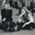 Ellen Lundgren Taylor's profile image