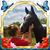 Ania Ake's profile image