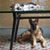 Pamela Ruiz's profile image