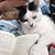 Pam Smith Albers's profile image