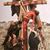 Rosa Maria Sanchez's profile image