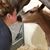 Crystal Gerszewski Moulds's profile image