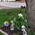 Cindy Baker Schuller's profile image