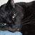 Terry Sharp's profile image