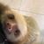 Karen Moss's profile image