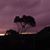 Deborah Reidy's profile image