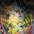 Reginald Marshall's profile image