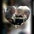 Jackie G Kaye's profile image