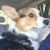 Roberta Yantz Trowbridge's profile image