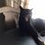 Dawn Yeager's profile image