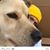 Marshall Seablom's profile image