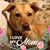 Meme Susan Ricker's profile image