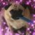 Cindi Love-Page's profile image