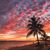 Vicki Carbaugh's profile image