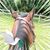 Diane Sustar's profile image