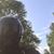 Nicholas Stone's profile image