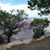 Maureen Cadieux's profile image