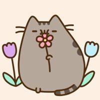 Laurie L.'s profile image