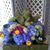 Pam Brady Bostick's profile image