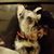 Sherry Newberry's profile image