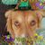 Deidre Keech's profile image