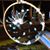 Marcine Johnson's profile image
