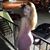Breanna Lee's profile image