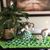 Cherrie Dreifurst's profile image