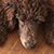 Jeanie Adams's profile image