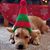 Shelly Liestman Becker's profile image
