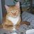 Valerie Hinderlider's profile image