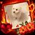 Koko Karla Brownie's profile image