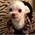 Beverly Gambino's profile image