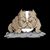 Jerry Kitchens's profile image