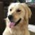 Sandy Johnson's profile image