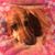 Michelle Lynn's profile image