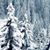 Linda Roberts-Hahn's profile image
