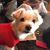 Kathy O'Connor Phelps's profile image